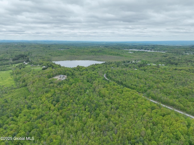 L8.1 Mariaville Rd, Princetown, NY 12306