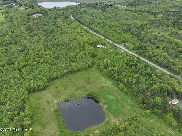 L8.1 Mariaville Rd, Princetown, NY 12306