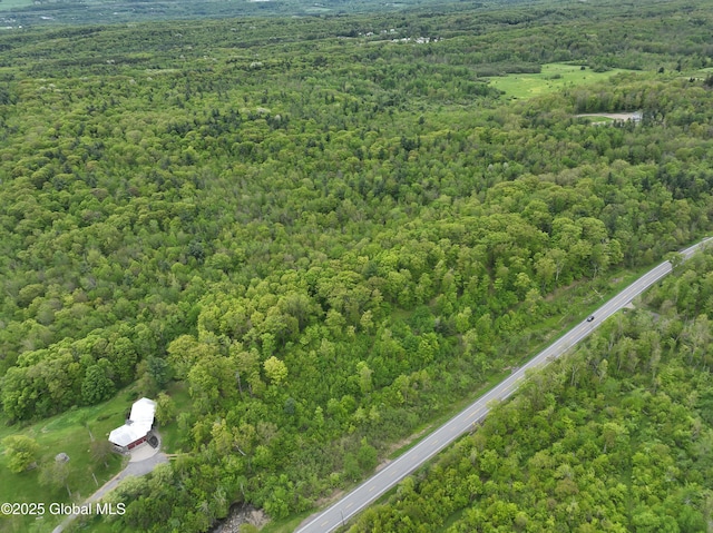 L8.1 Mariaville Rd, Princetown, NY 12306