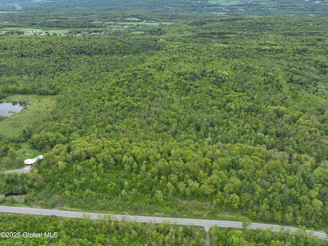 L8.1 Mariaville Rd, Princetown, NY 12306