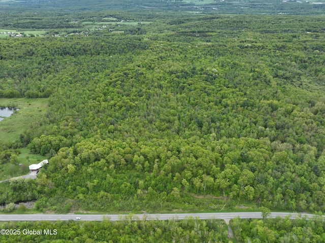 L8.1 Mariaville Rd, Princetown, NY 12306