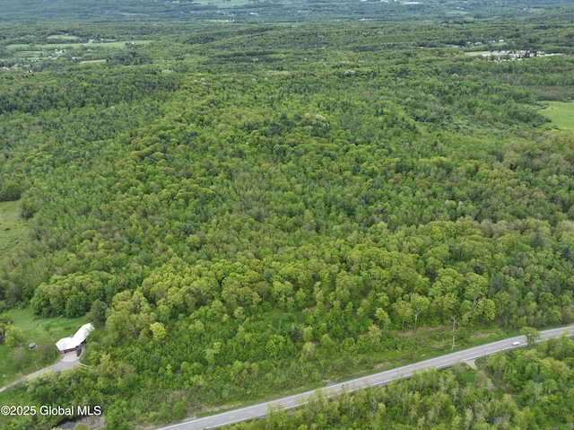L8.1 Mariaville Rd, Princetown, NY 12306