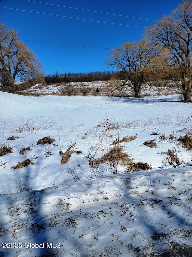 view of yard layered in snow