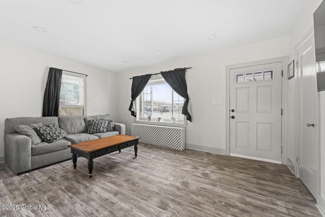 living area featuring a wealth of natural light, radiator, baseboards, and wood finished floors