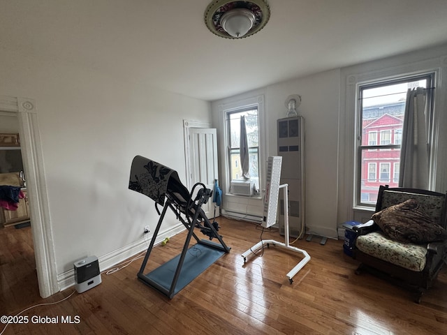 workout room with a wealth of natural light, baseboards, and wood-type flooring