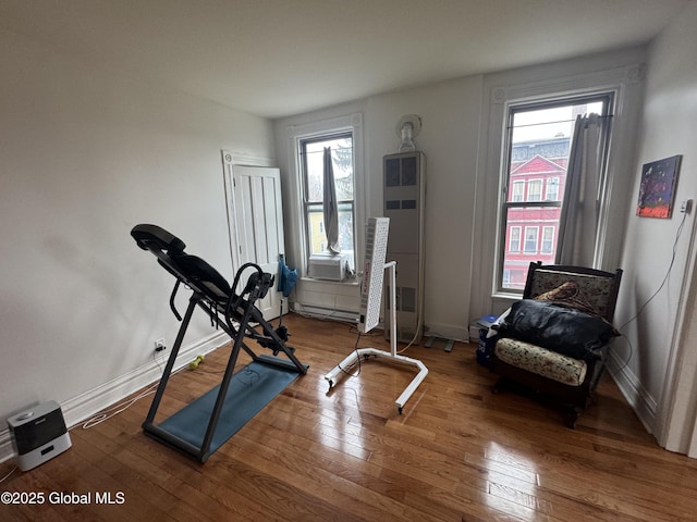 exercise room featuring hardwood / wood-style floors, baseboards, and a wealth of natural light