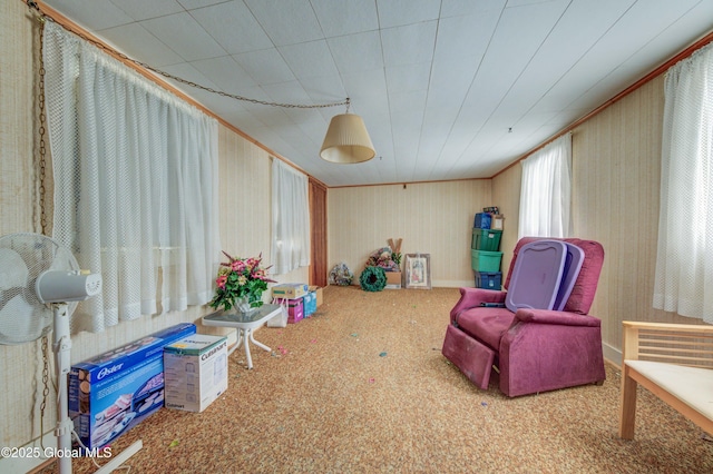 living area with carpet flooring and crown molding