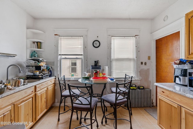 kitchen with light tile patterned floors, plenty of natural light, radiator heating unit, and a sink