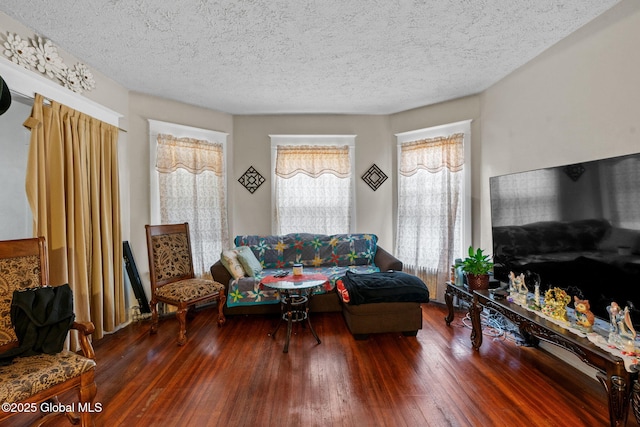 living room with a textured ceiling and hardwood / wood-style floors