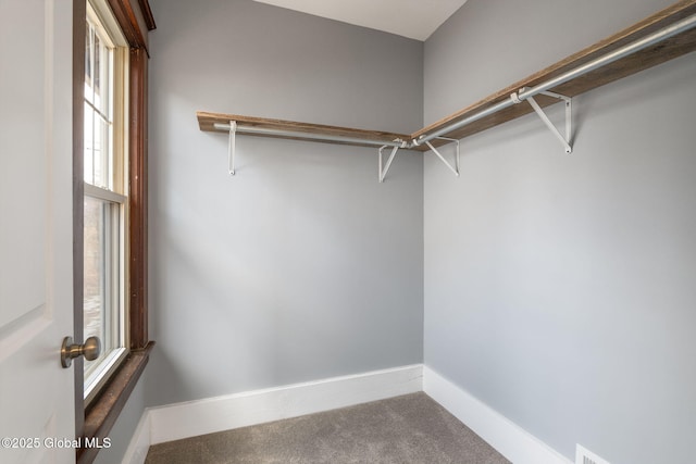 walk in closet with carpet floors