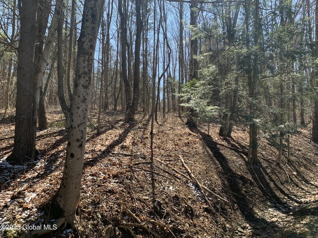 2 Rogers Rd, Sanford, NY 13865