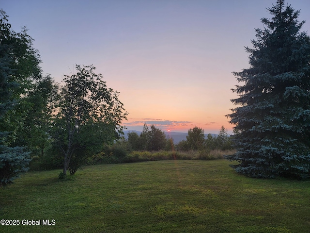 view of yard at dusk