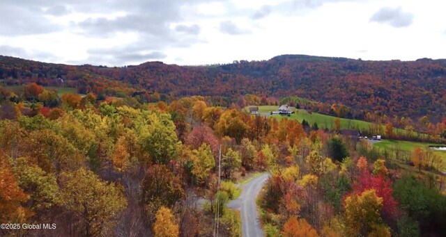 mountain view with a wooded view