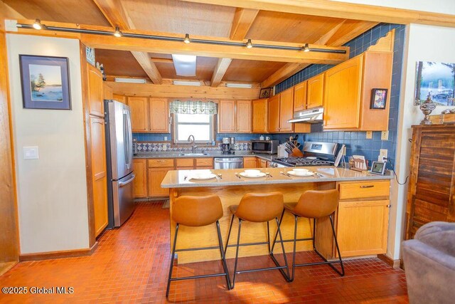 kitchen featuring tasteful backsplash, appliances with stainless steel finishes, a peninsula, under cabinet range hood, and a sink