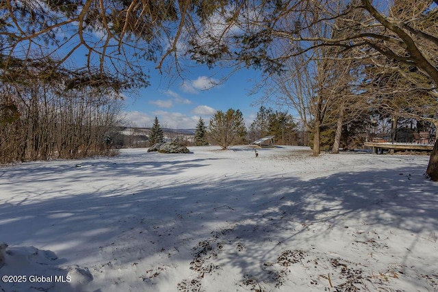 view of yard layered in snow