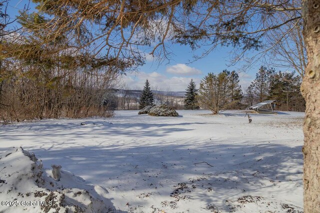 view of snowy yard