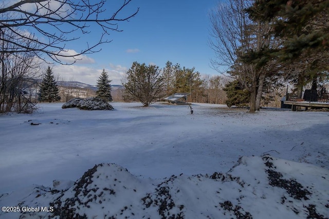 view of yard layered in snow