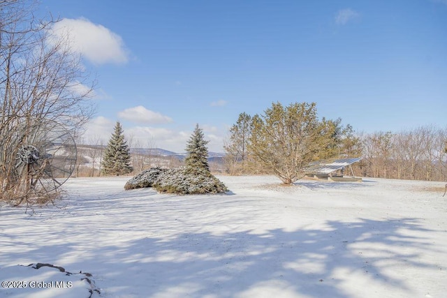 view of snowy yard