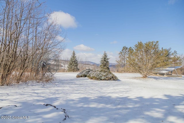 view of yard layered in snow