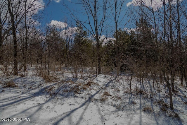 view of snow covered land