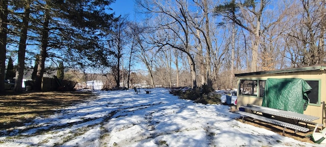 view of yard covered in snow