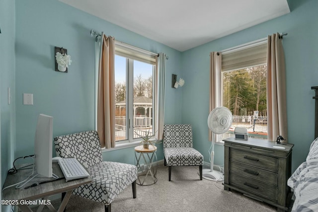 living area featuring baseboards and carpet