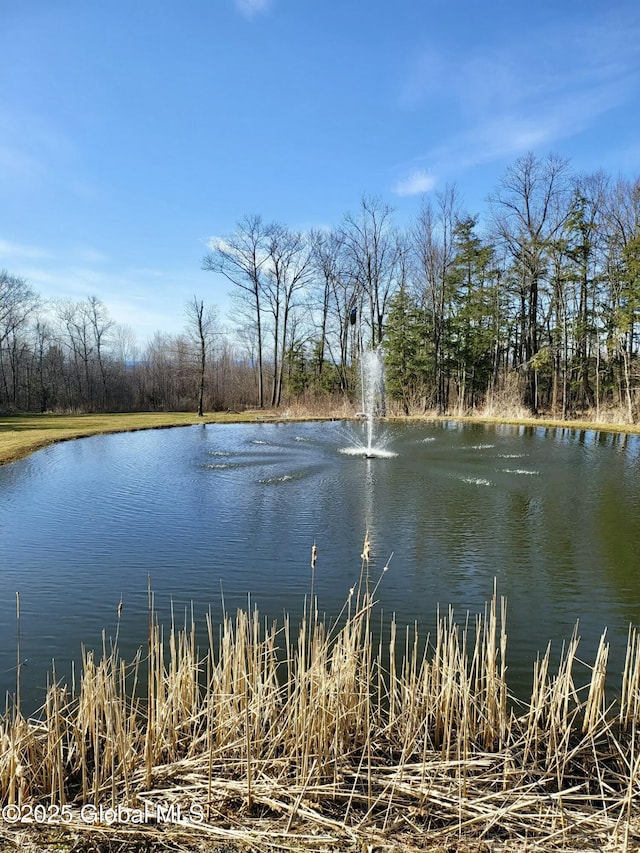 property view of water