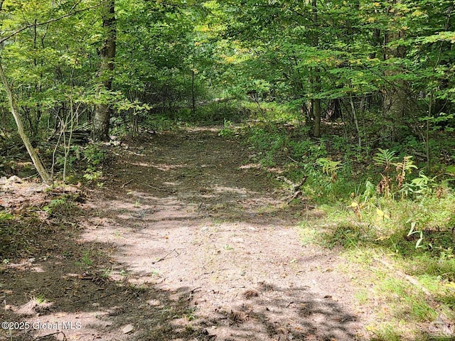 L27.5 Birch Hill Rd, Copake NY, 12516 land for sale