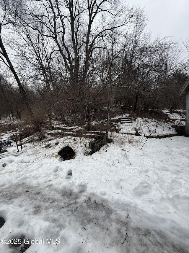 view of yard covered in snow