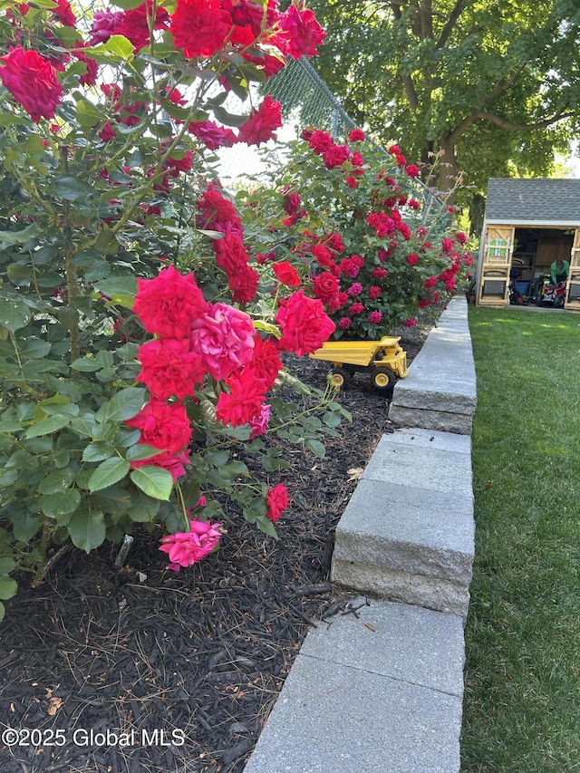 view of yard featuring an outdoor structure