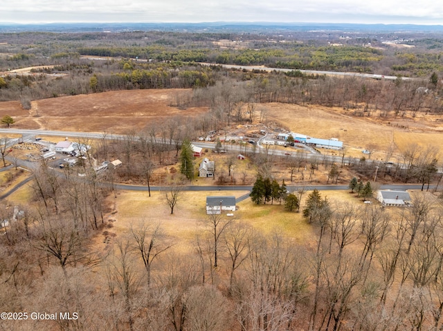 drone / aerial view featuring a rural view