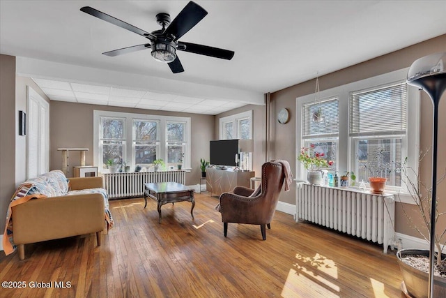 living room featuring hardwood / wood-style flooring, radiator heating unit, baseboards, and a wealth of natural light