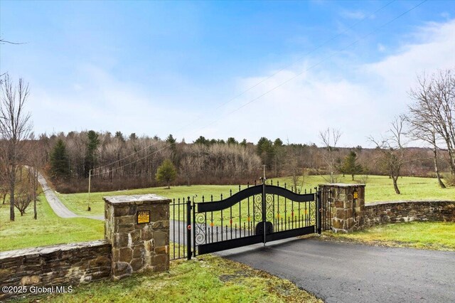 155 Andrews Rd, Carlisle, NY 12160 - view of gate featuring a lawn