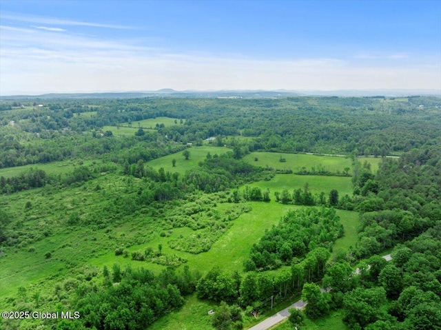 155 Andrews Rd, Carlisle, NY 12160 - aerial view featuring a wooded view