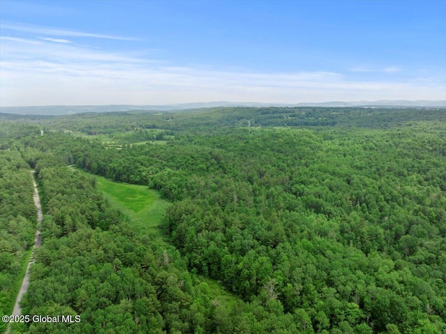 155 Andrews Rd, Carlisle, NY 12160 - drone / aerial view with a forest view