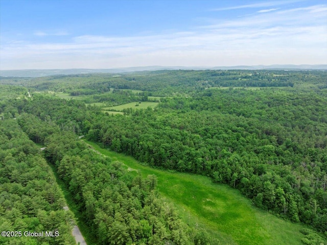 155 Andrews Rd, Carlisle, NY 12160 - aerial view with a forest view