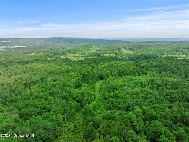 155 Andrews Rd, Carlisle, NY 12160 - birds eye view of property with a forest view