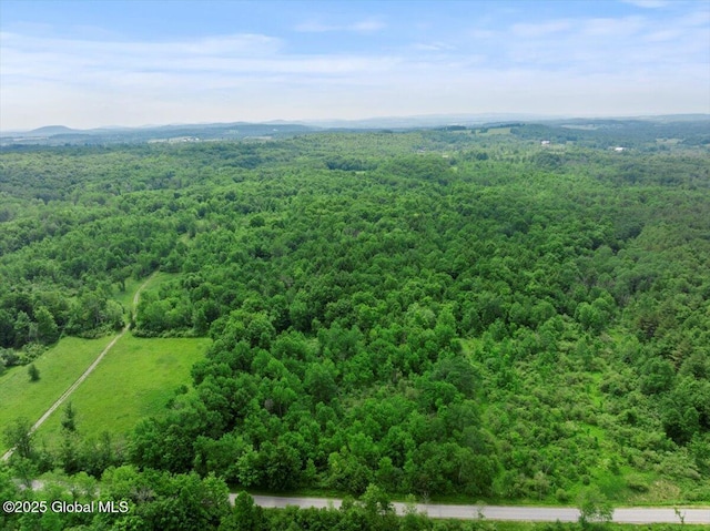 155 Andrews Rd, Carlisle, NY 12160 - drone / aerial view featuring a wooded view
