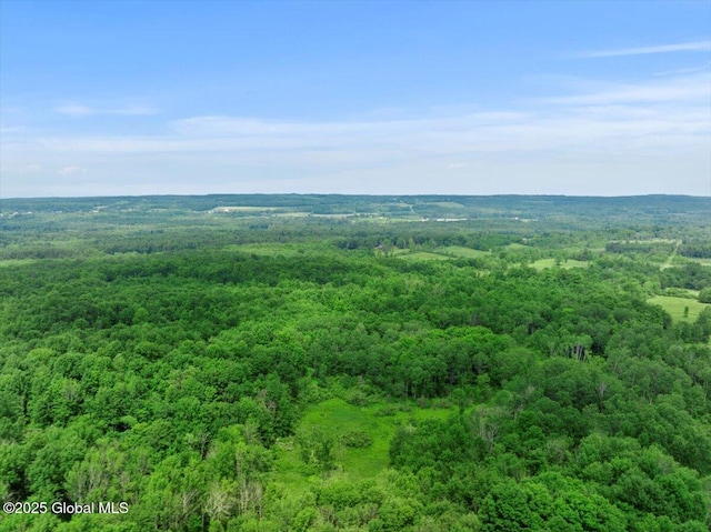 155 Andrews Rd, Carlisle, NY 12160 - birds eye view of property with a forest view