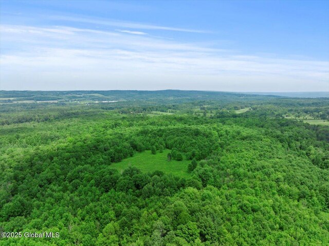155 Andrews Rd, Carlisle, NY 12160 - birds eye view of property featuring a view of trees