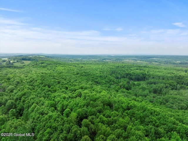 155 Andrews Rd, Carlisle, NY 12160 - drone / aerial view with a wooded view