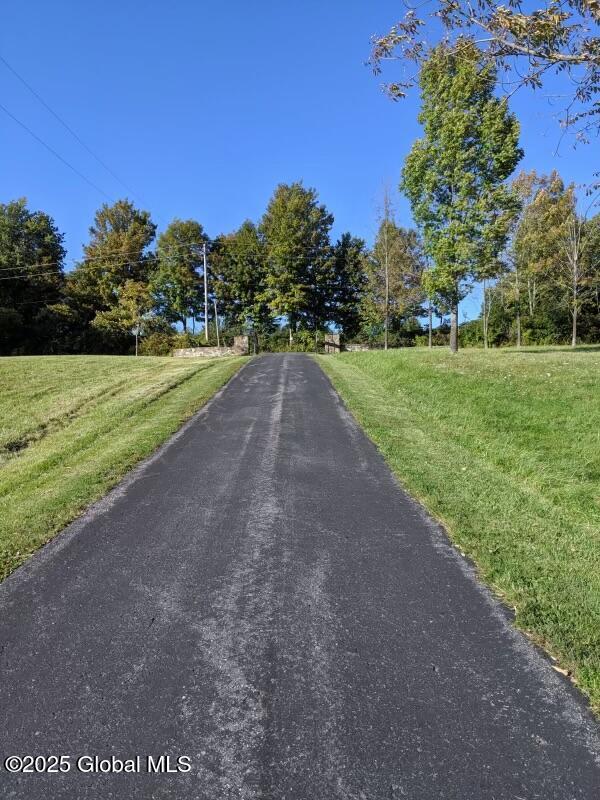 155 Andrews Rd, Carlisle, NY 12160 - view of street