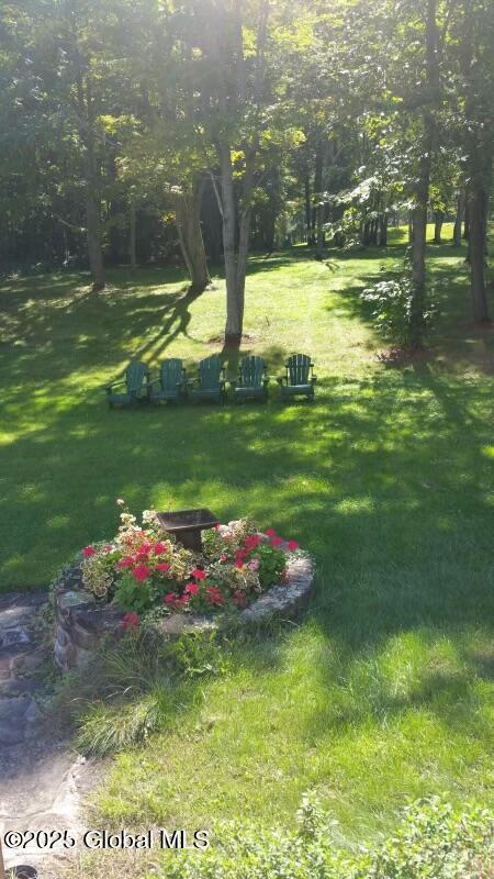 155 Andrews Rd, Carlisle, NY 12160 - view of yard