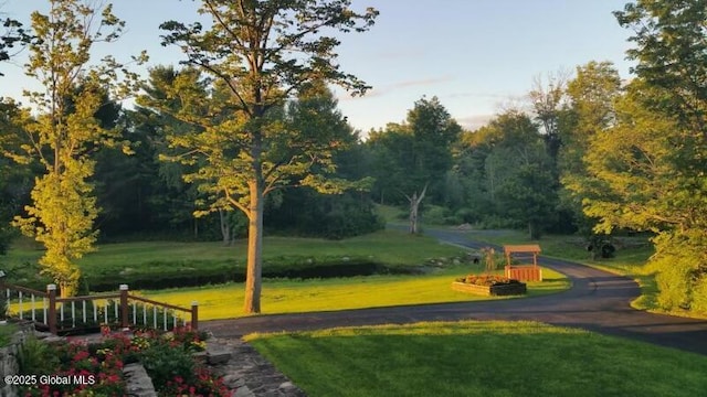 155 Andrews Rd, Carlisle, NY 12160 - view of community featuring a yard