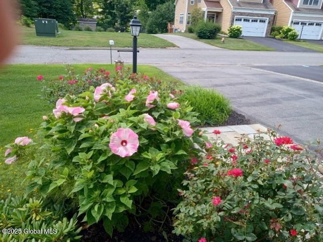 exterior details featuring driveway