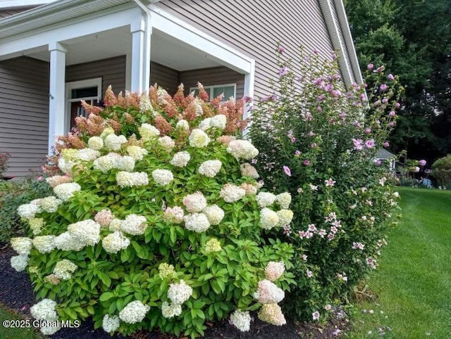 view of home's exterior with a yard