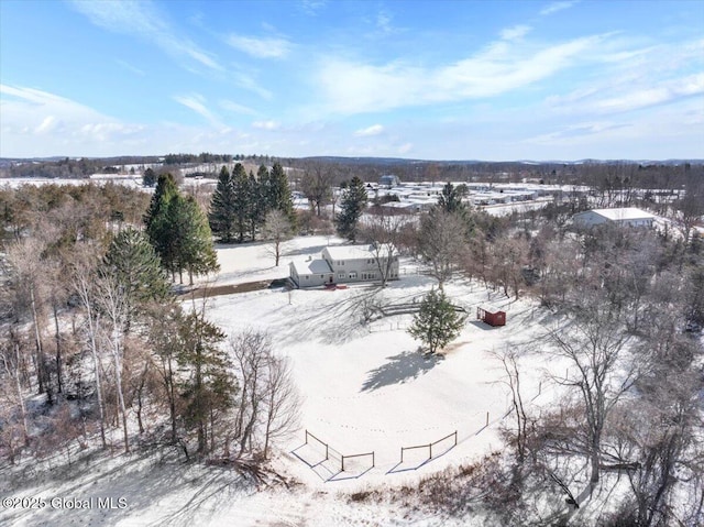 view of snowy aerial view