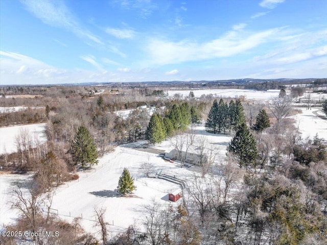 view of snowy aerial view