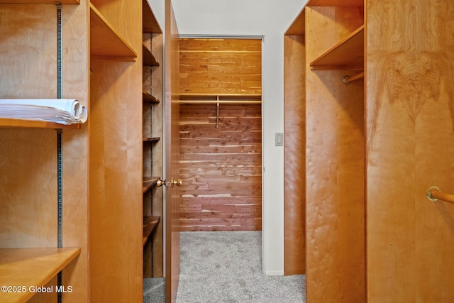 walk in closet with carpet