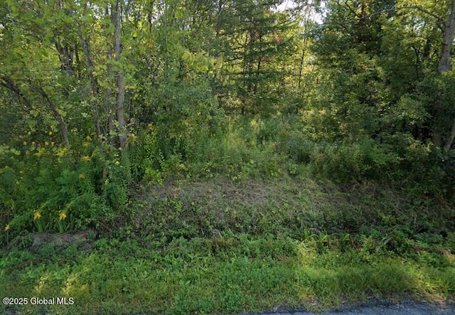 17 N Main St, Voorheesville NY, 12186 land for sale